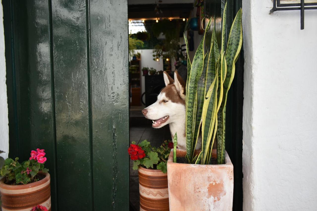 וילה דה לייבה Hospedaje La Casa De Chavela Centro Historico מראה חיצוני תמונה